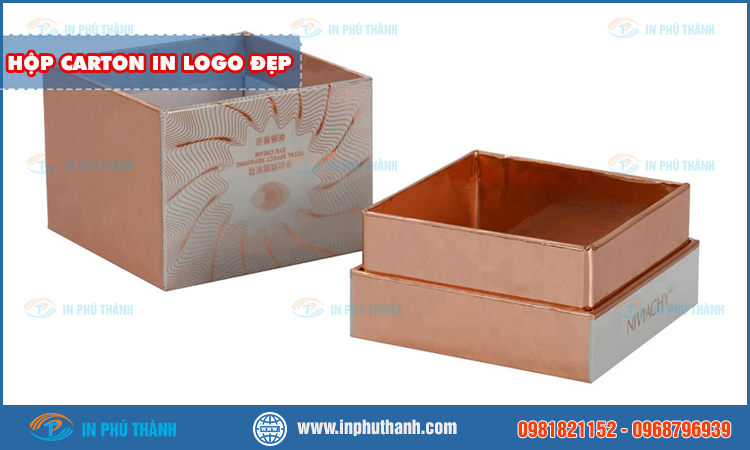 Hộp carton in logo