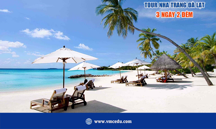 Tour Du Lịch Nha Trang - Đà Lạt 3 Ngày 2 Đêm