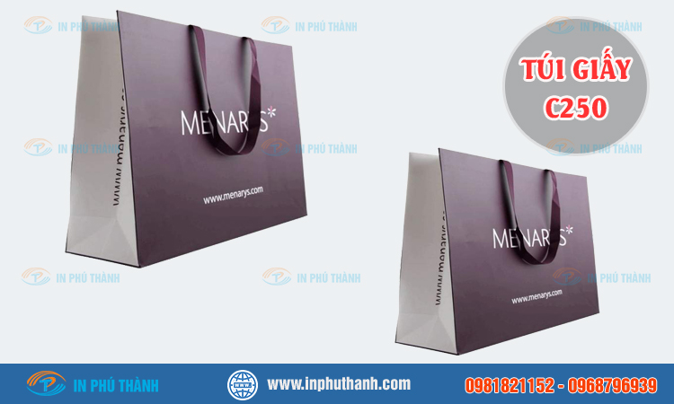 Túi giấy C250