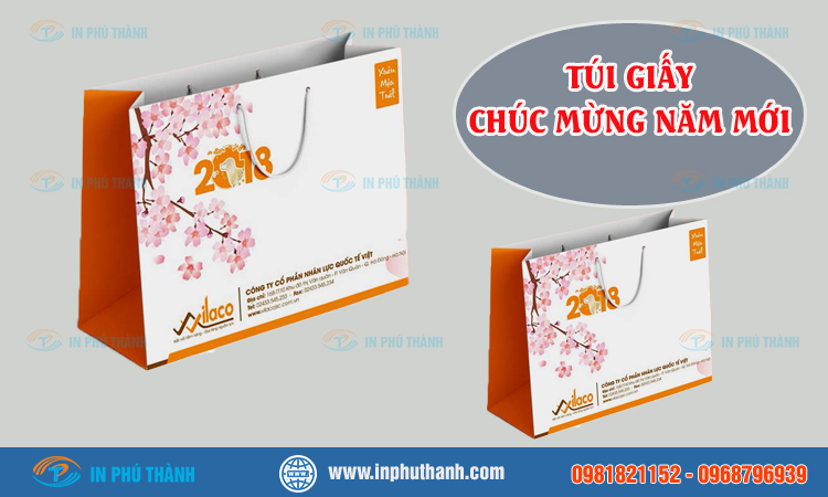 Túi giấy chúc mừng năm mới