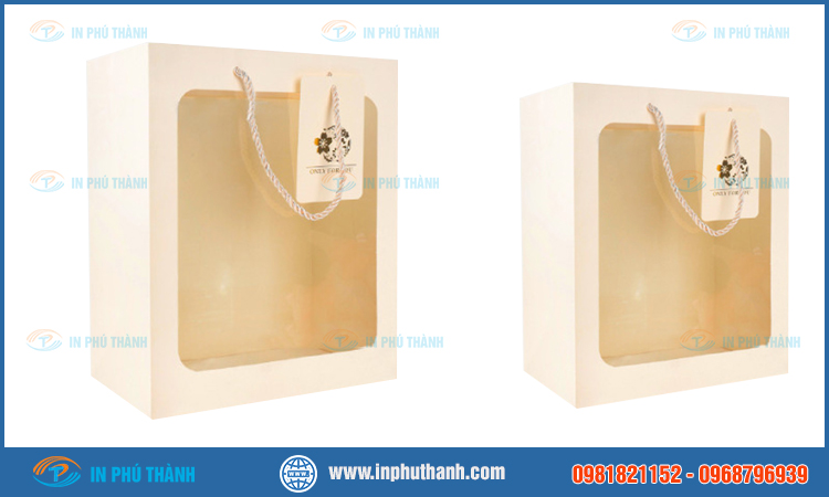 Túi giấy mặt kiếng